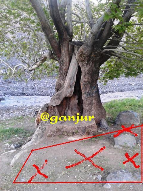 محل دفینه