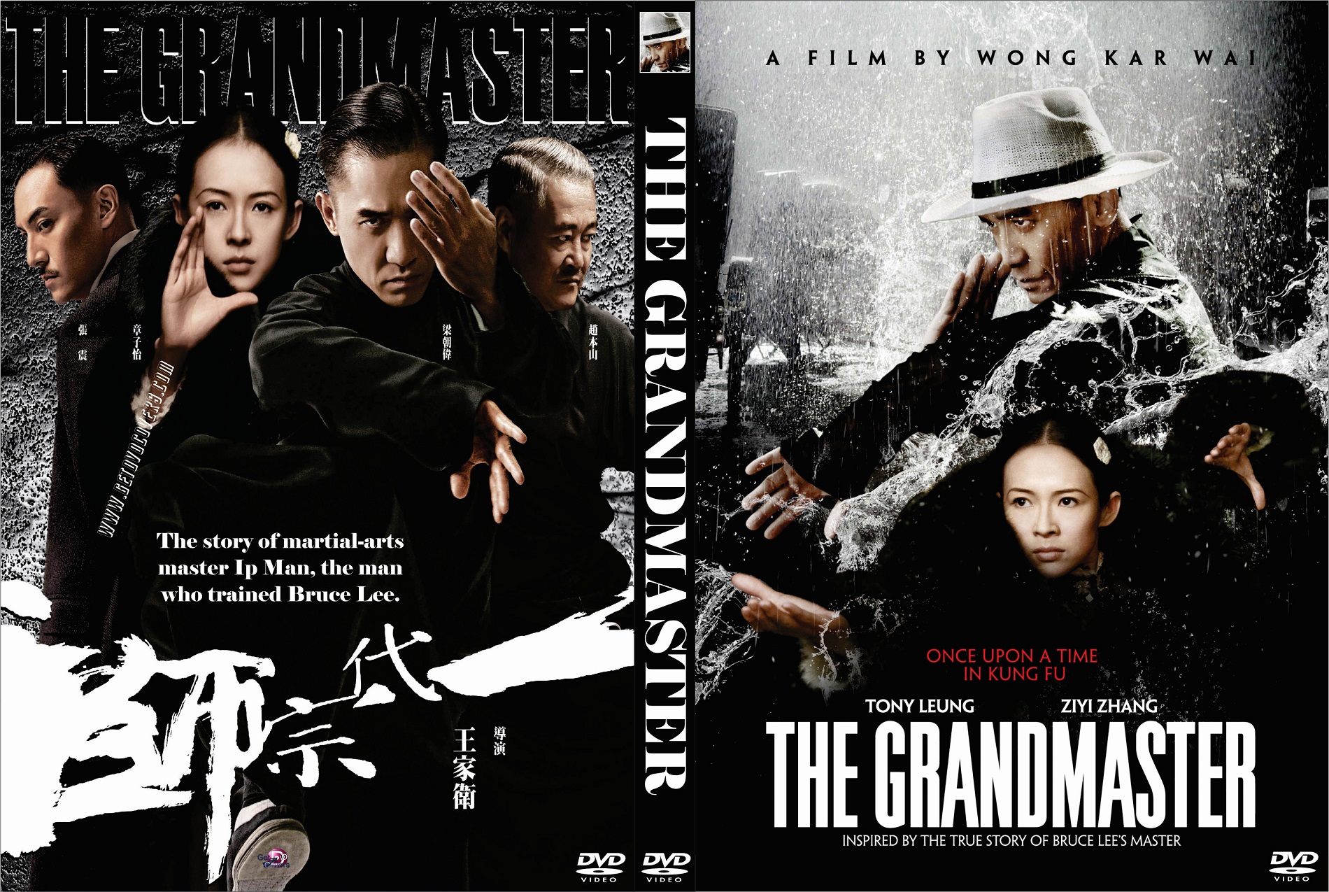 دانلود فیلم استاد بزرگ the grandmaster 2013 با دوبله فارسی