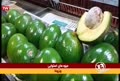 اخبار جوانه ها