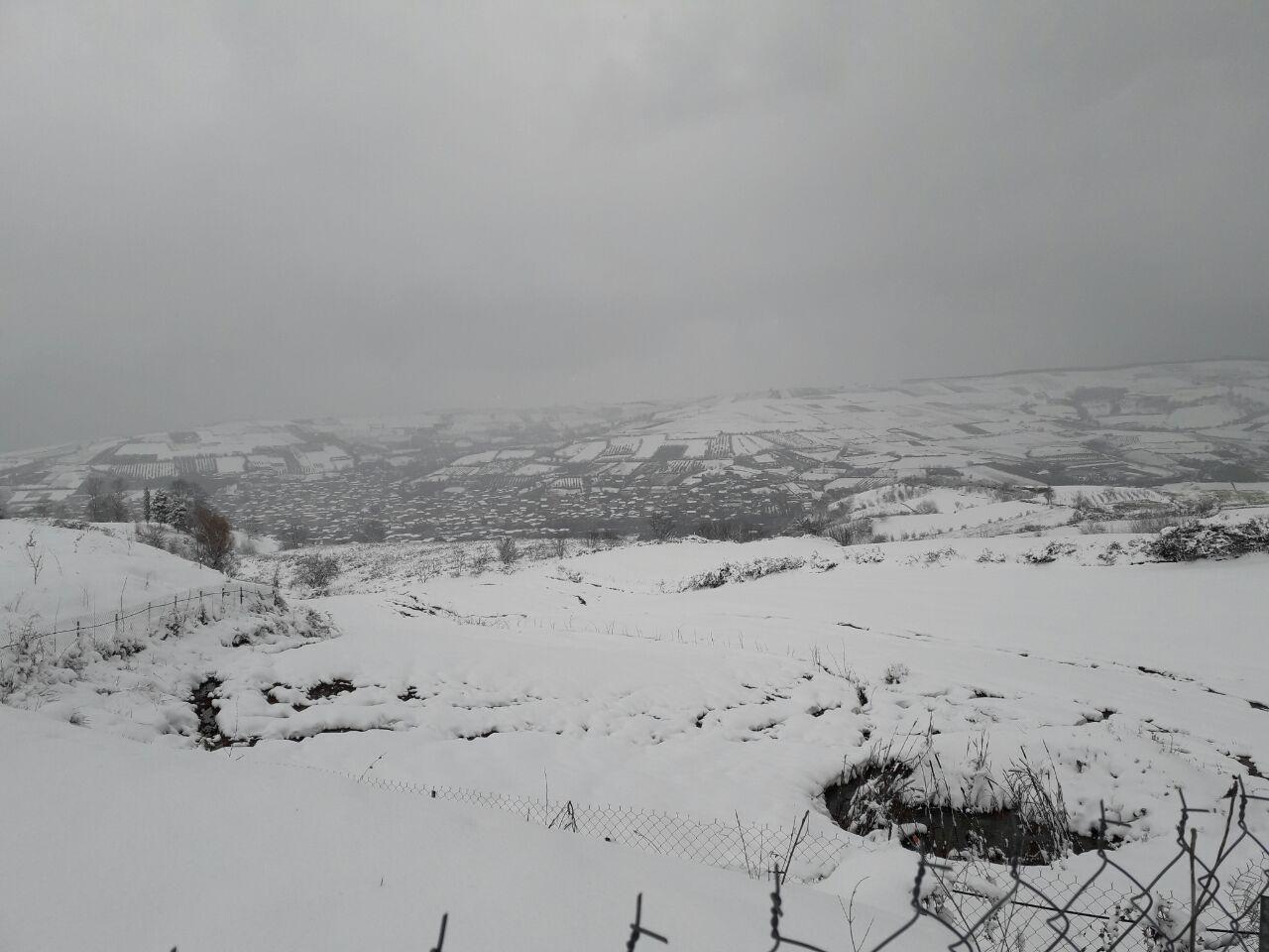 1_4_.jpg (1280×960)