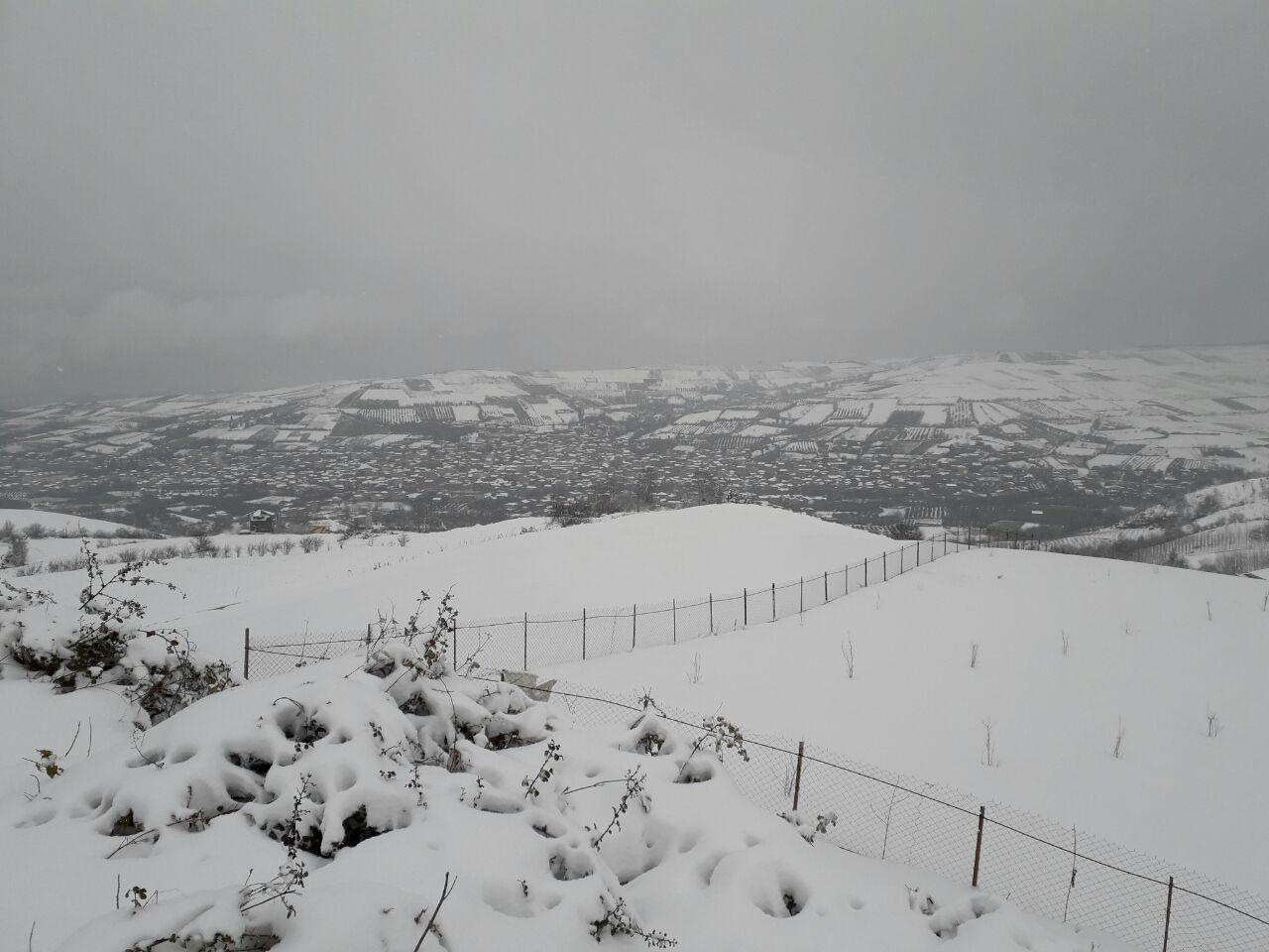 1_5_.jpg (1280×960)