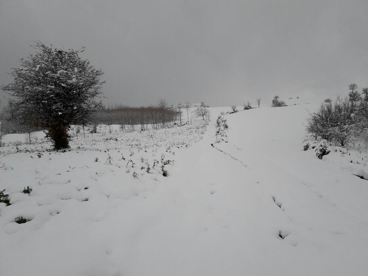 1_6_.jpg (1280×960)