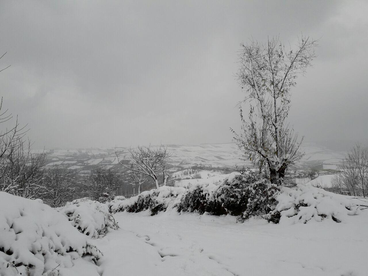 1_8_.jpg (1280×960)