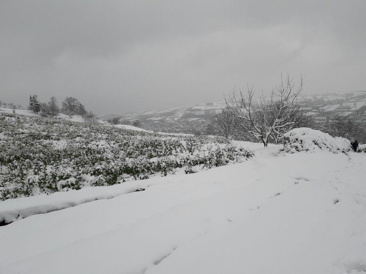 1_9_.jpg (1280×960)