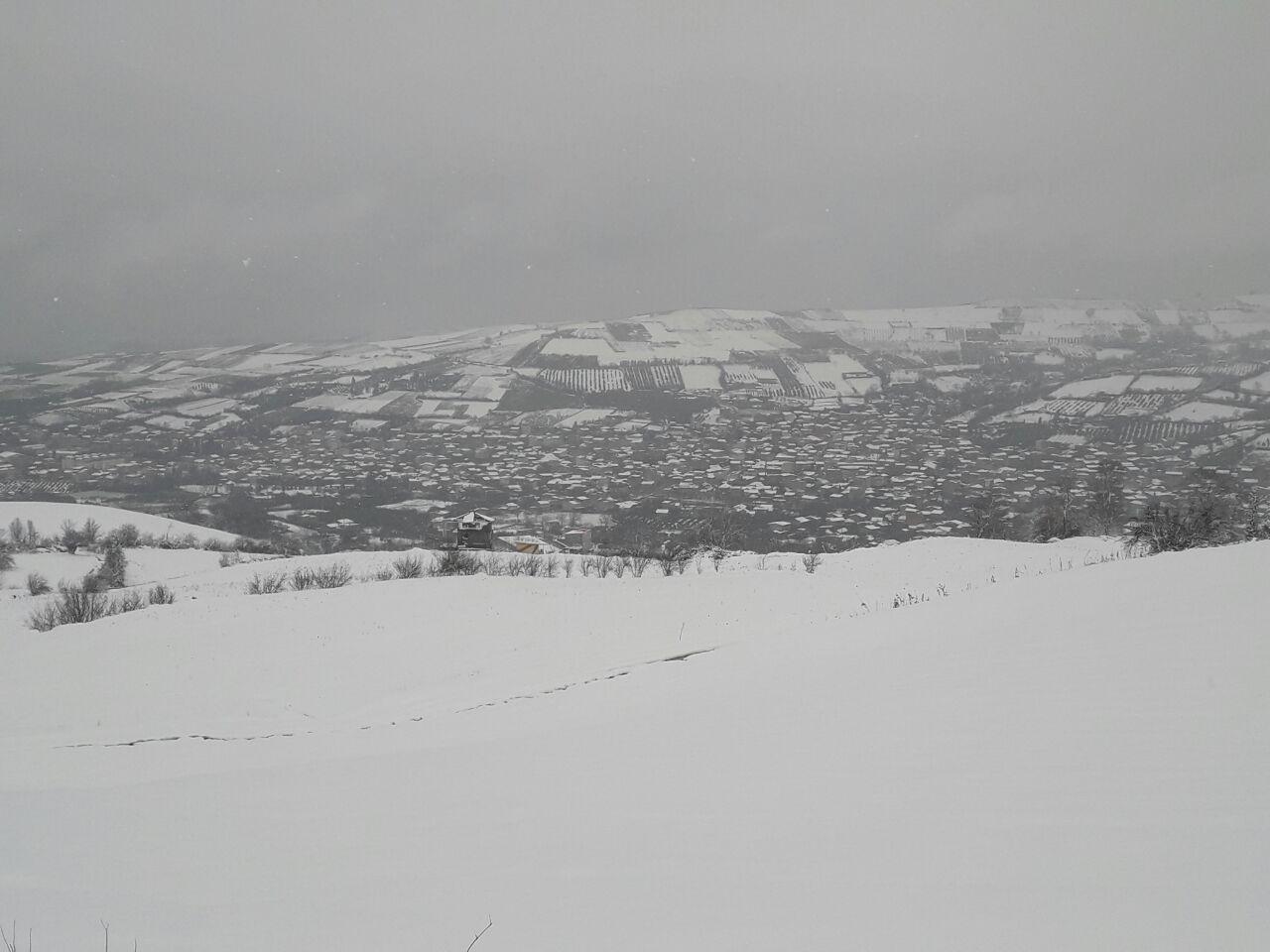 1_10_.jpg (1280×960)