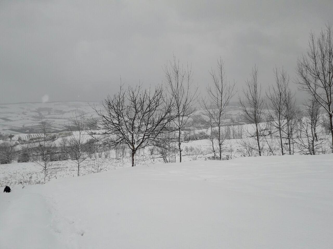 1_11_.jpg (1280×960)