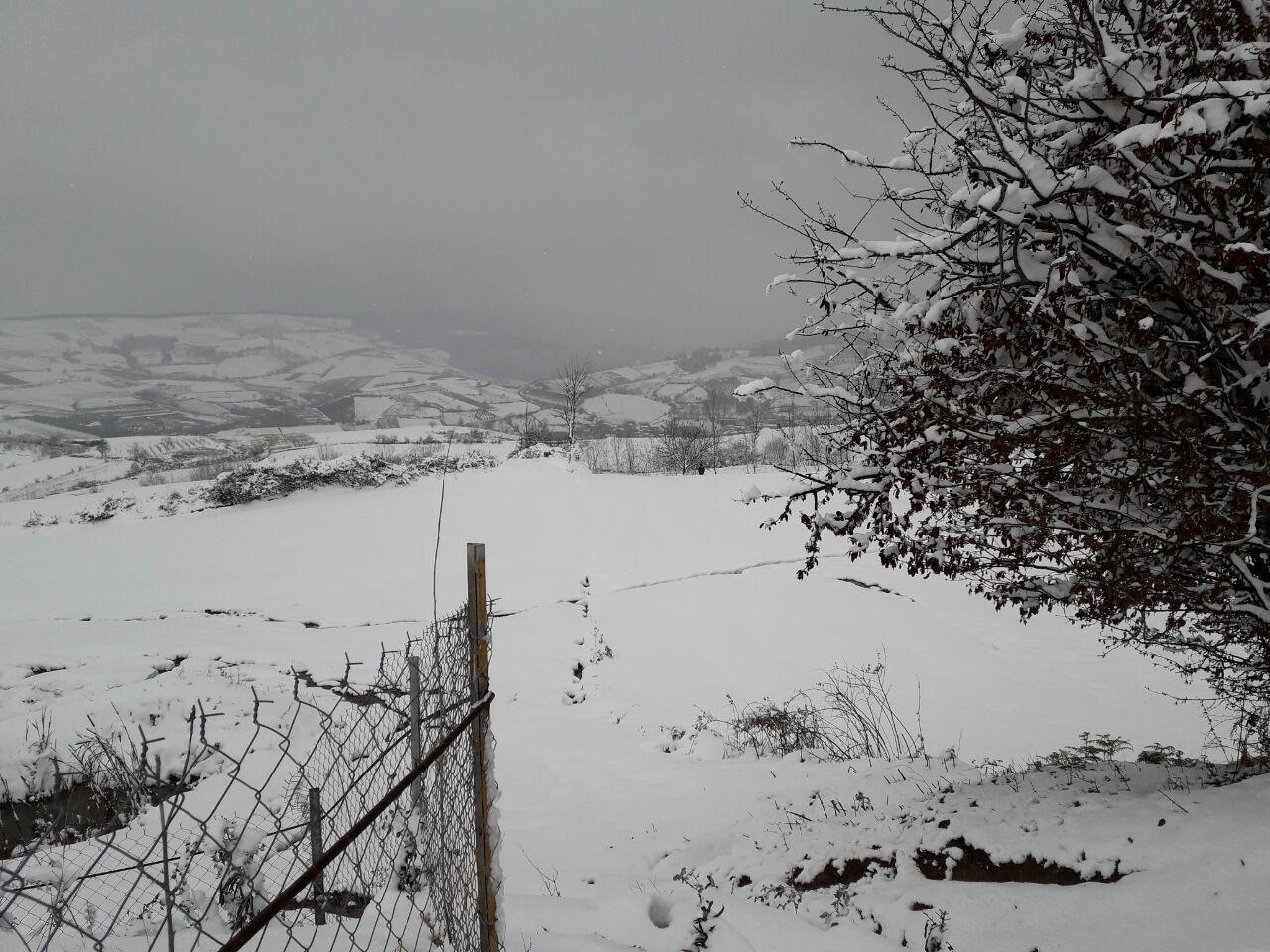 1_19_.jpg (1280×960)