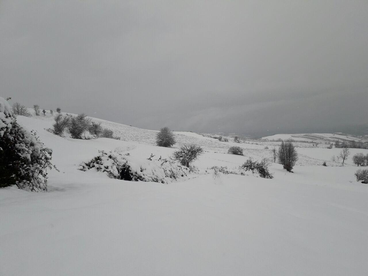 1_24_.jpg (1280×960)