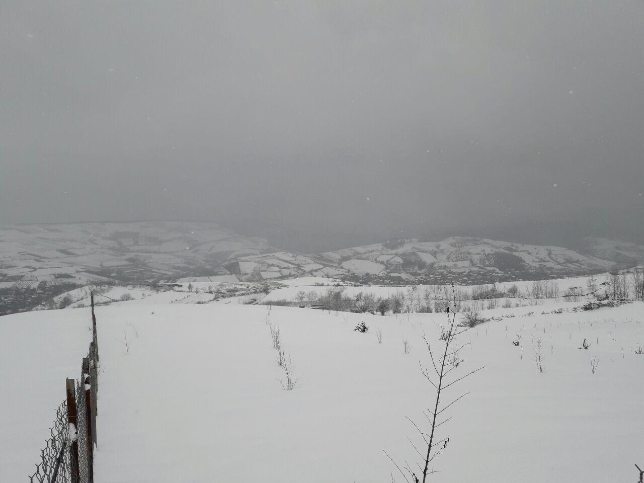 1_25_.jpg (1280×960)