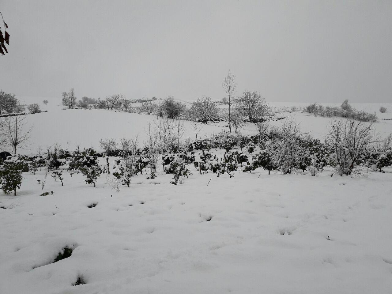 1_26_.jpg (1280×960)