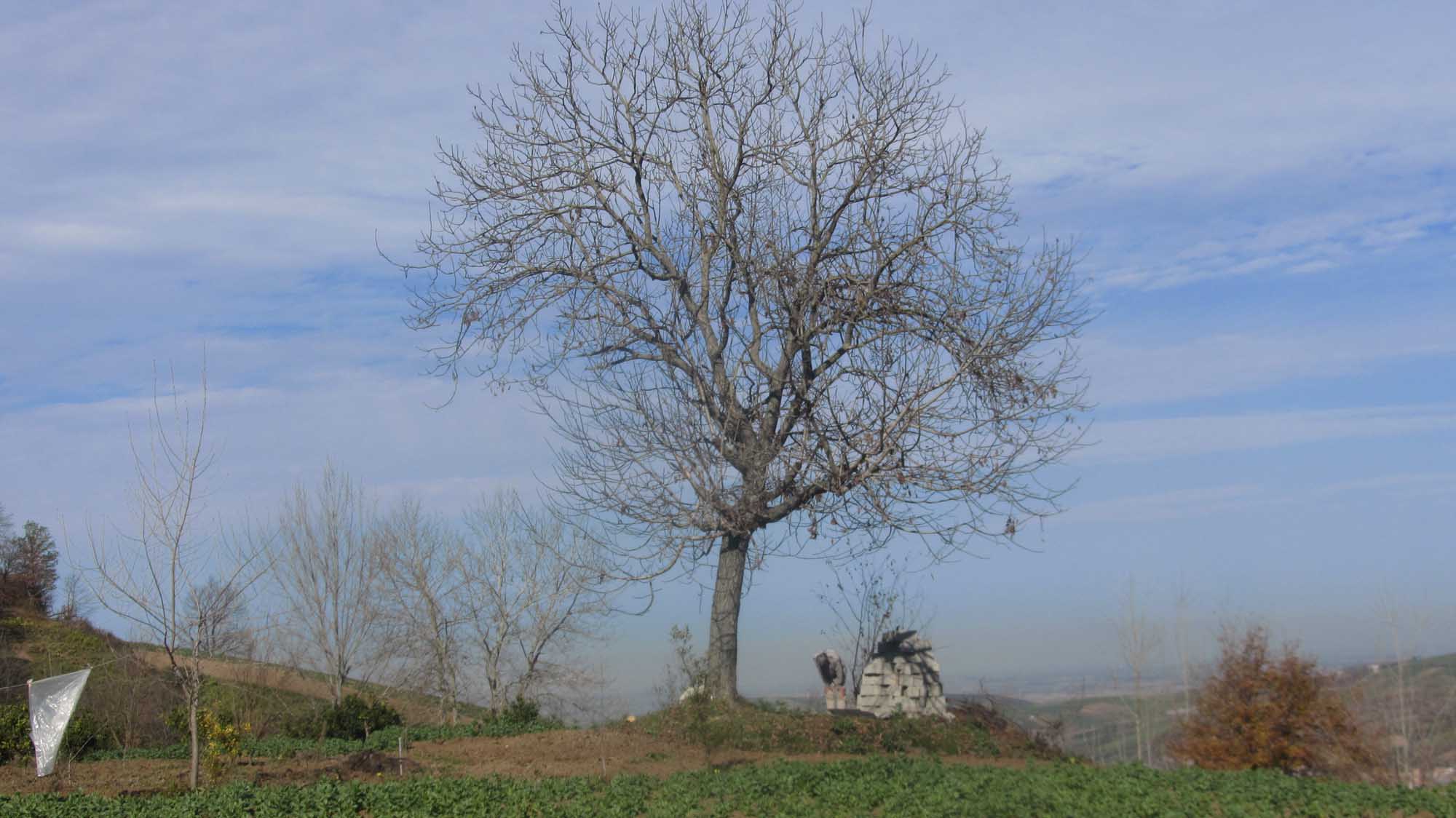 1_1_.jpg (2000×1124)