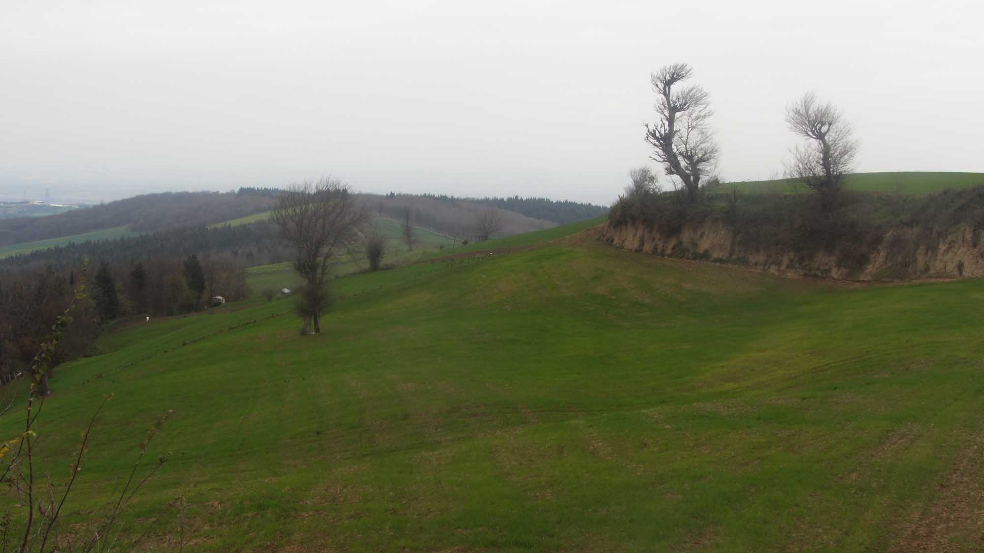 1_5_.jpg (2000×1124)