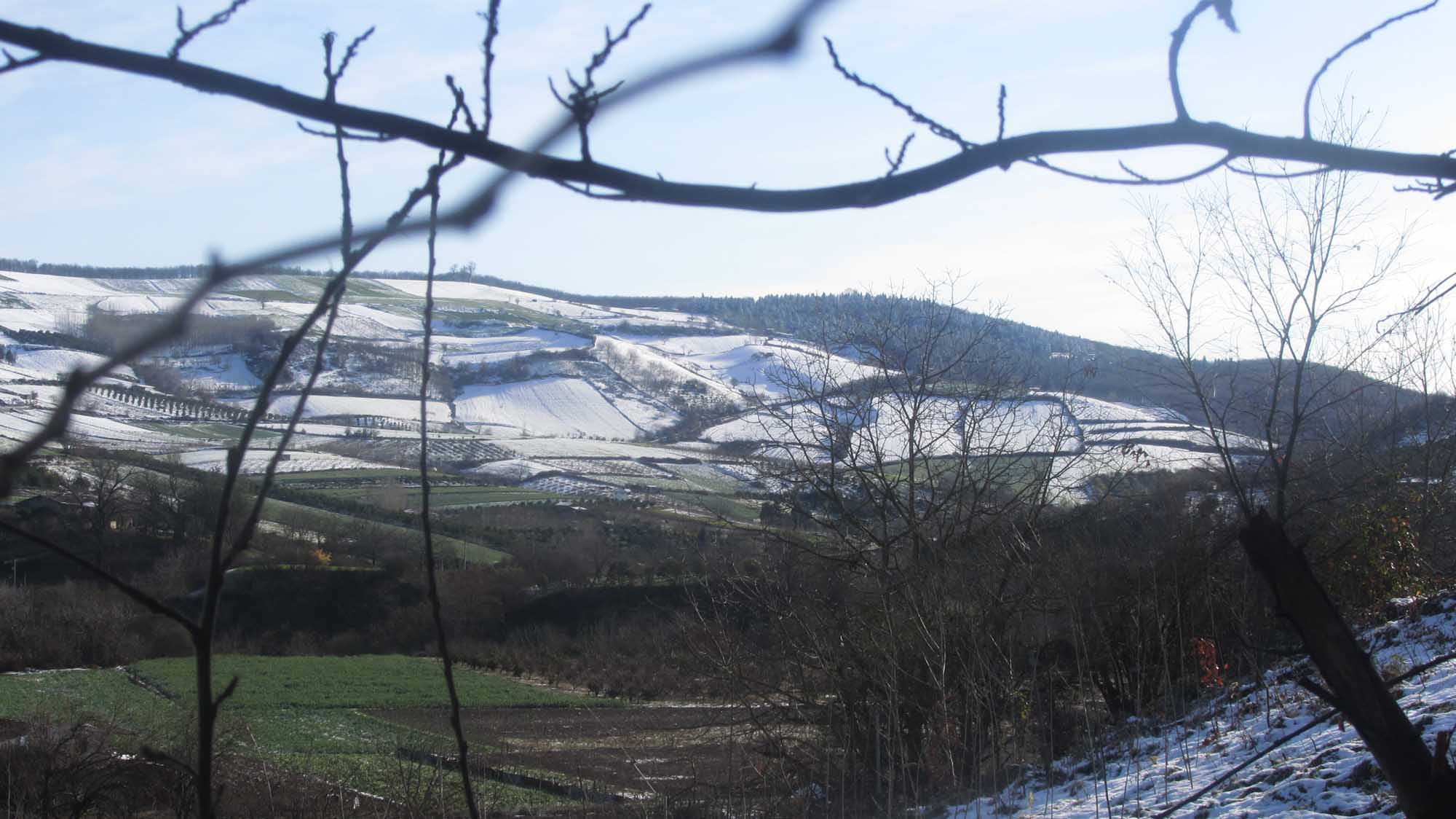 1_12_.jpg (2000×1124)