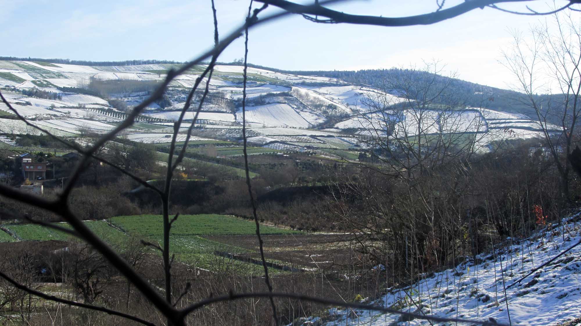 1_13_.jpg (2000×1124)