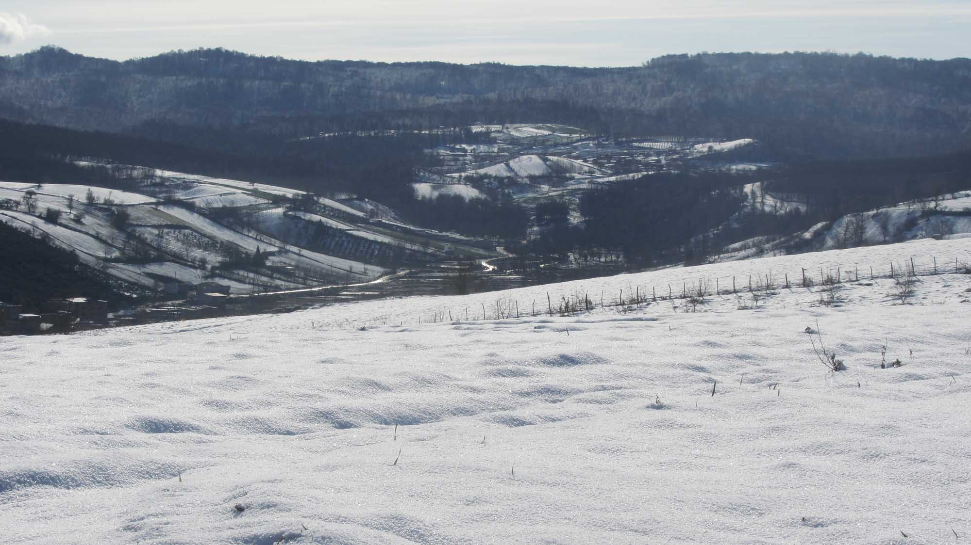 1_24_.jpg (2000×1124)