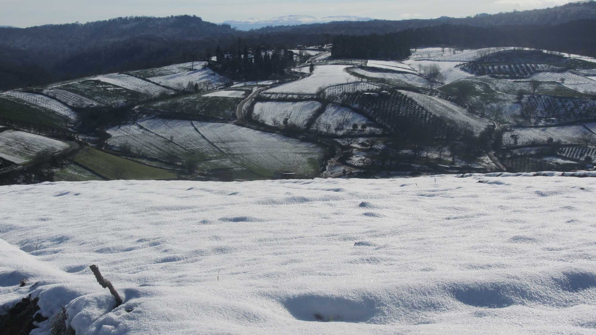 1_25_.jpg (2000×1124)