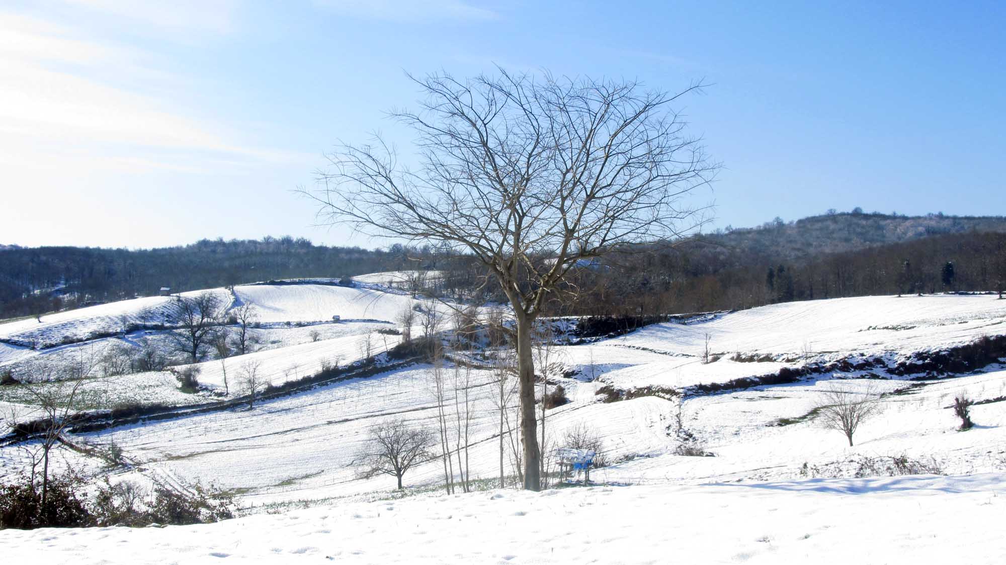 1_31_.jpg (2000×1124)