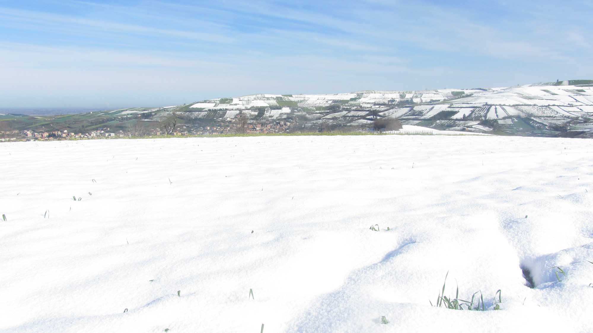 1_33_.jpg (2000×1124)