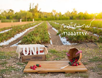 دانلود فون تولد جدید