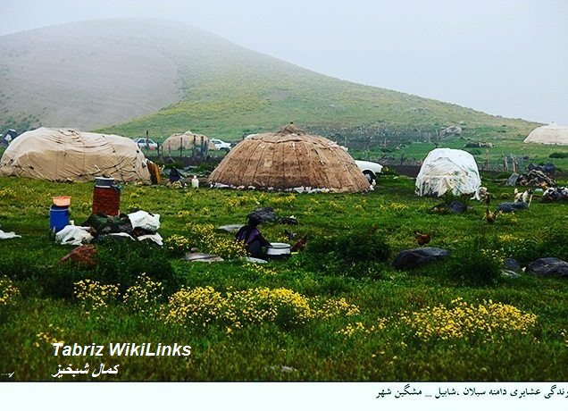 عشایر