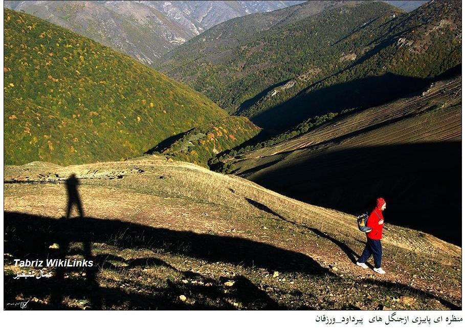 پیرداود