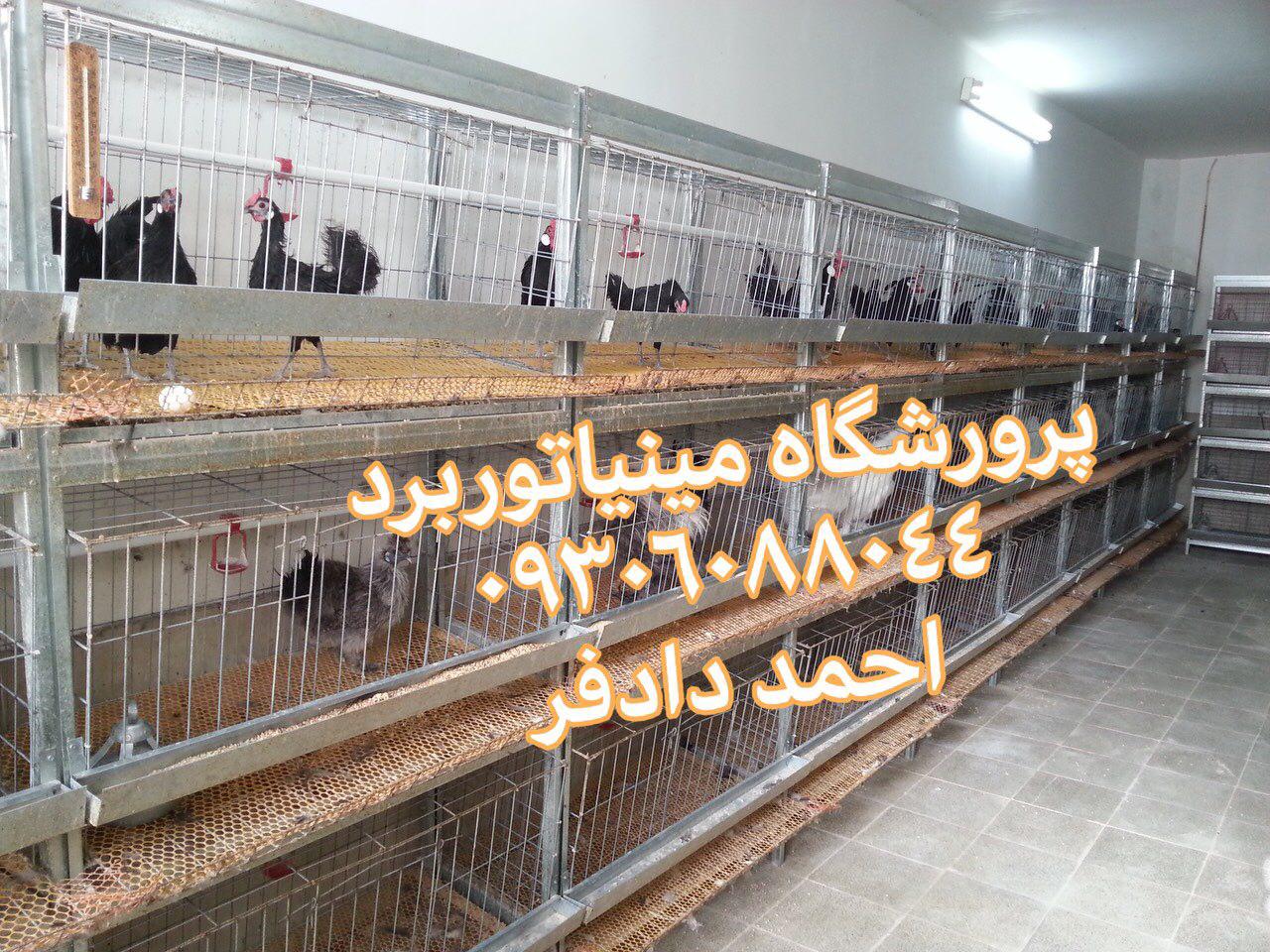 http://s8.picofile.com/file/8319496650/photo_2018_02_15_18_25_32.jpg