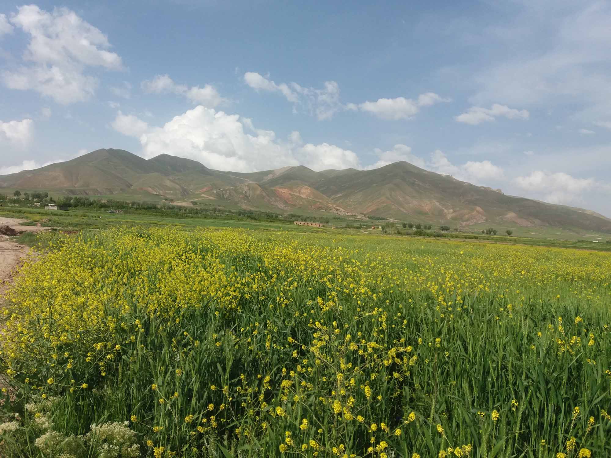 اسپیران تبریز