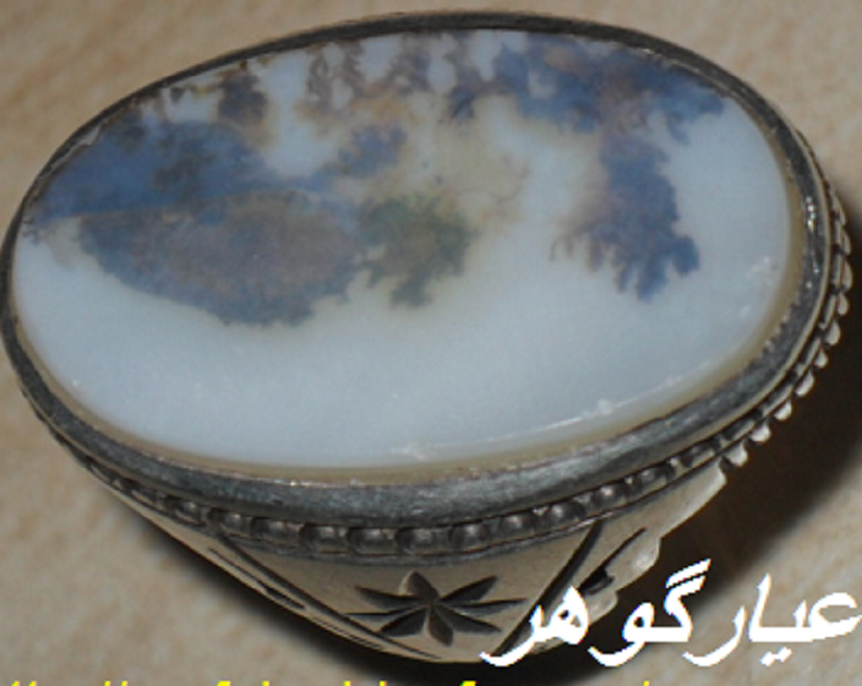 انگشتر شجر بزرگ
