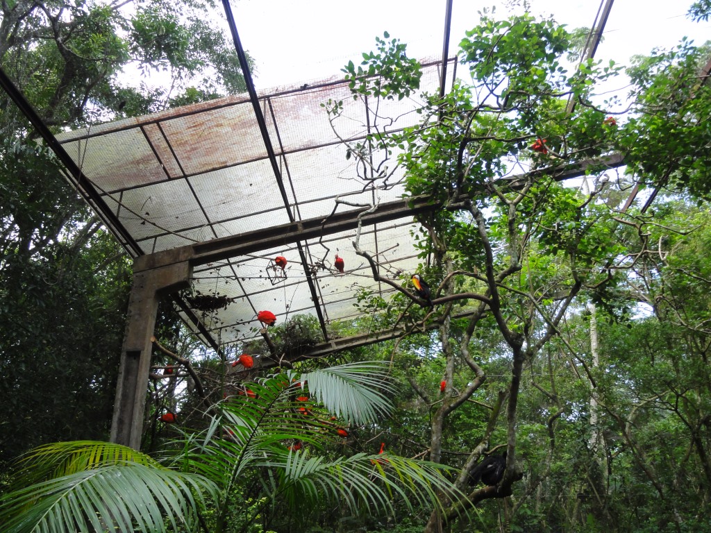 http://s8.picofile.com/file/8323002376/087.JPG