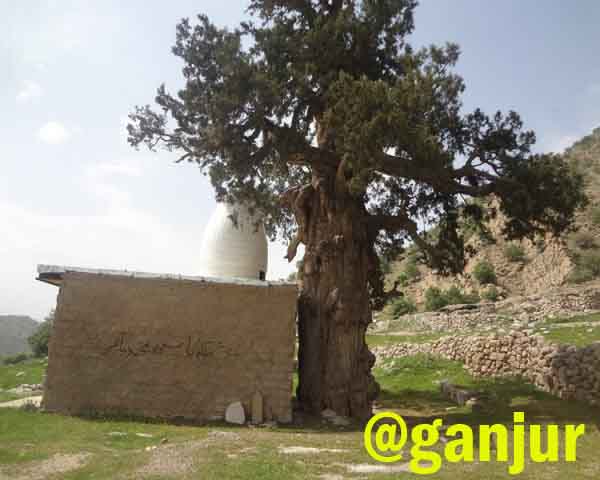 دفینه امام زاده ها