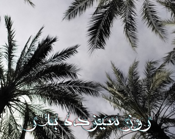 پاسخ به:عکس های نوروزی 