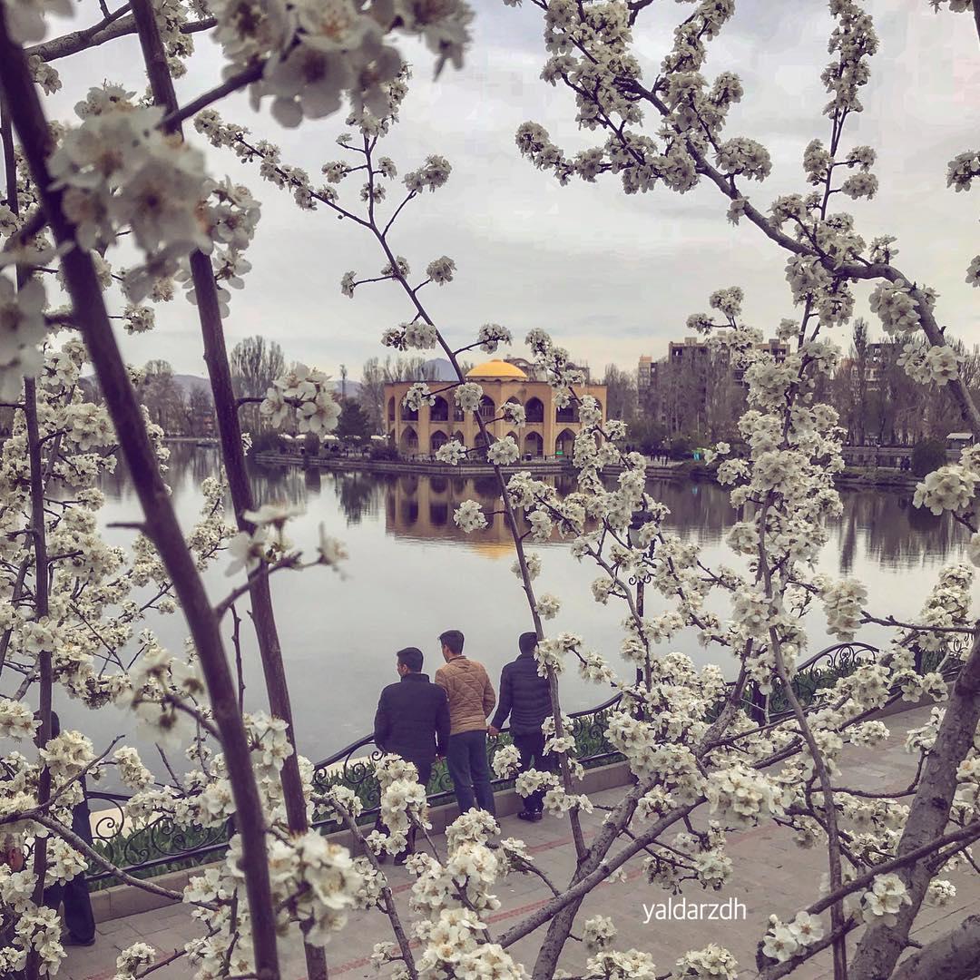 تبریز