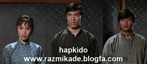Hapkido_1972 هاپکیدو