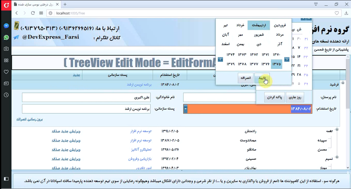devexpress farsi devexpress