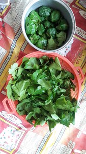 دلمه قهدریجانی غذاهای سنتی قهدریجان