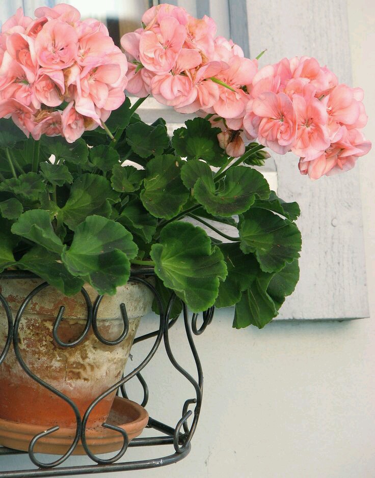 http://s8.picofile.com/file/8327878134/b25feebd86df81628cdd82b7657e763c.jpg