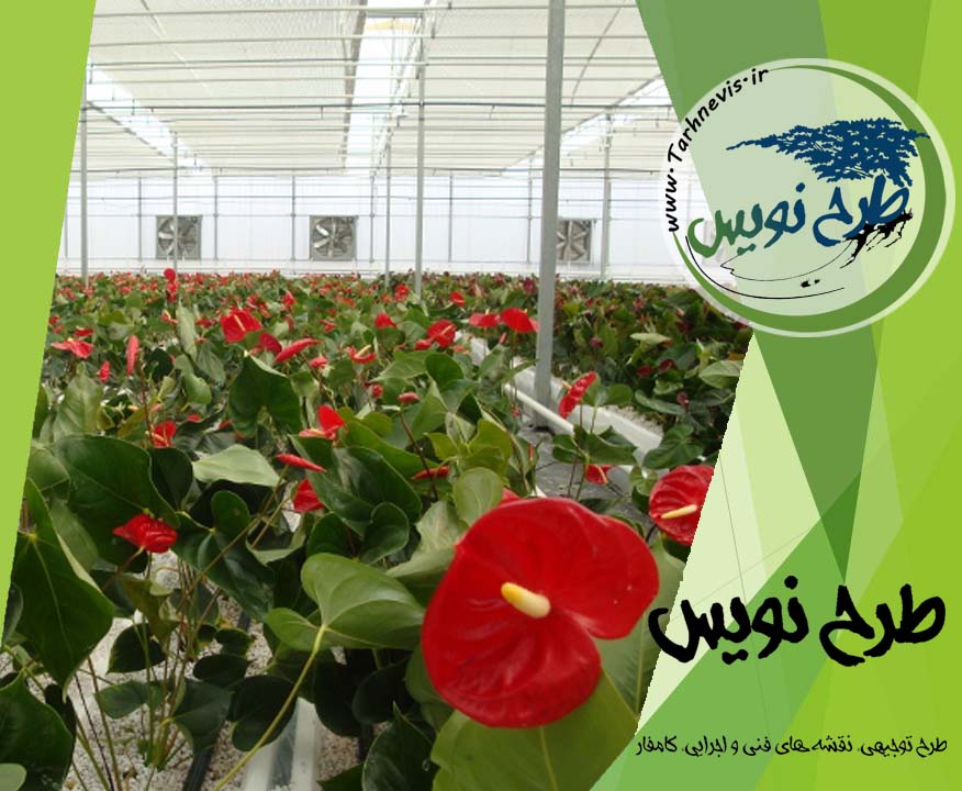 طرح توجیهی