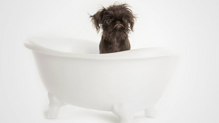 http://s8.picofile.com/file/8328813034/%d9%85%d8%b1%d8%a7%d9%82%d8%a8%d8%aa_%d8%a7%d8%b2_%d8%b3%da%af.jpeg