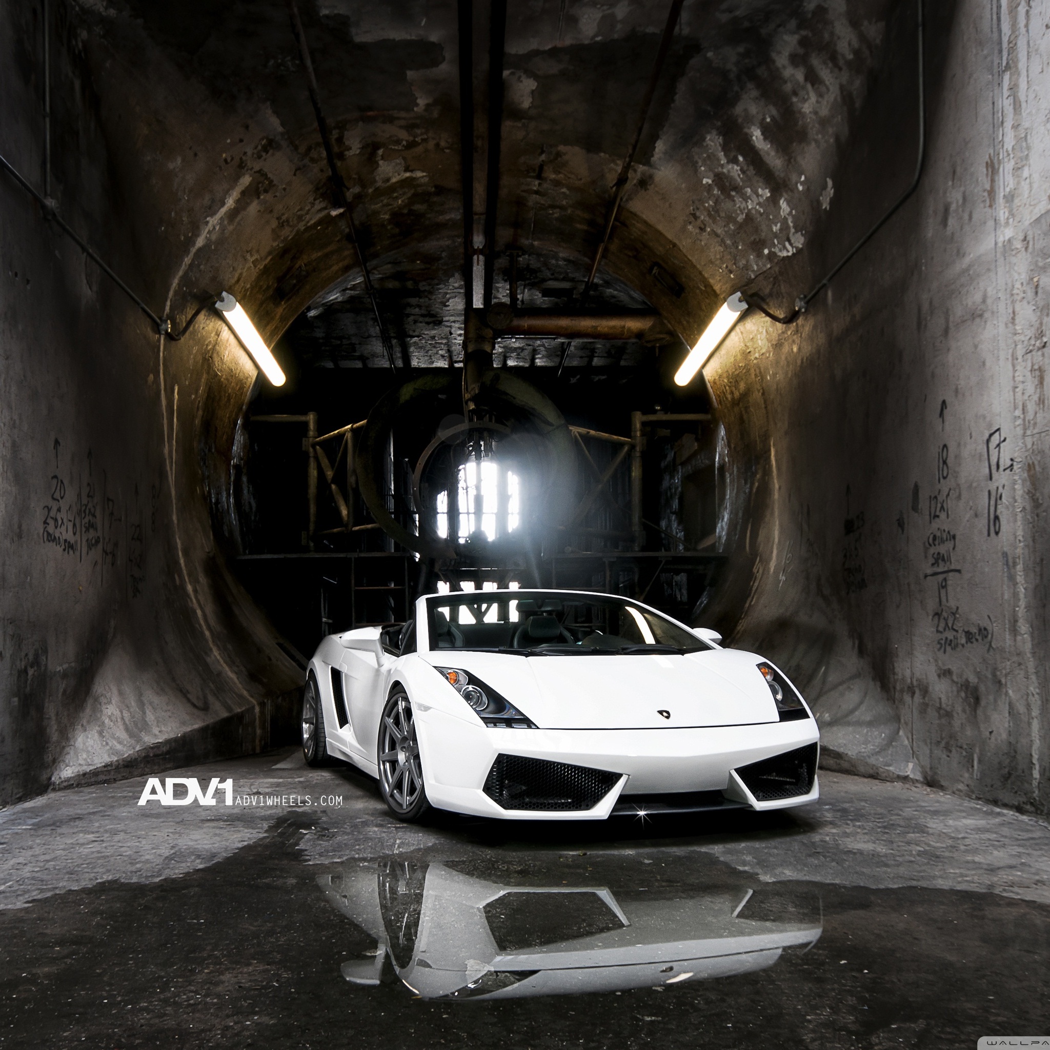 adv_1_lamborghini_gallardo_spyder_2_wallpaper