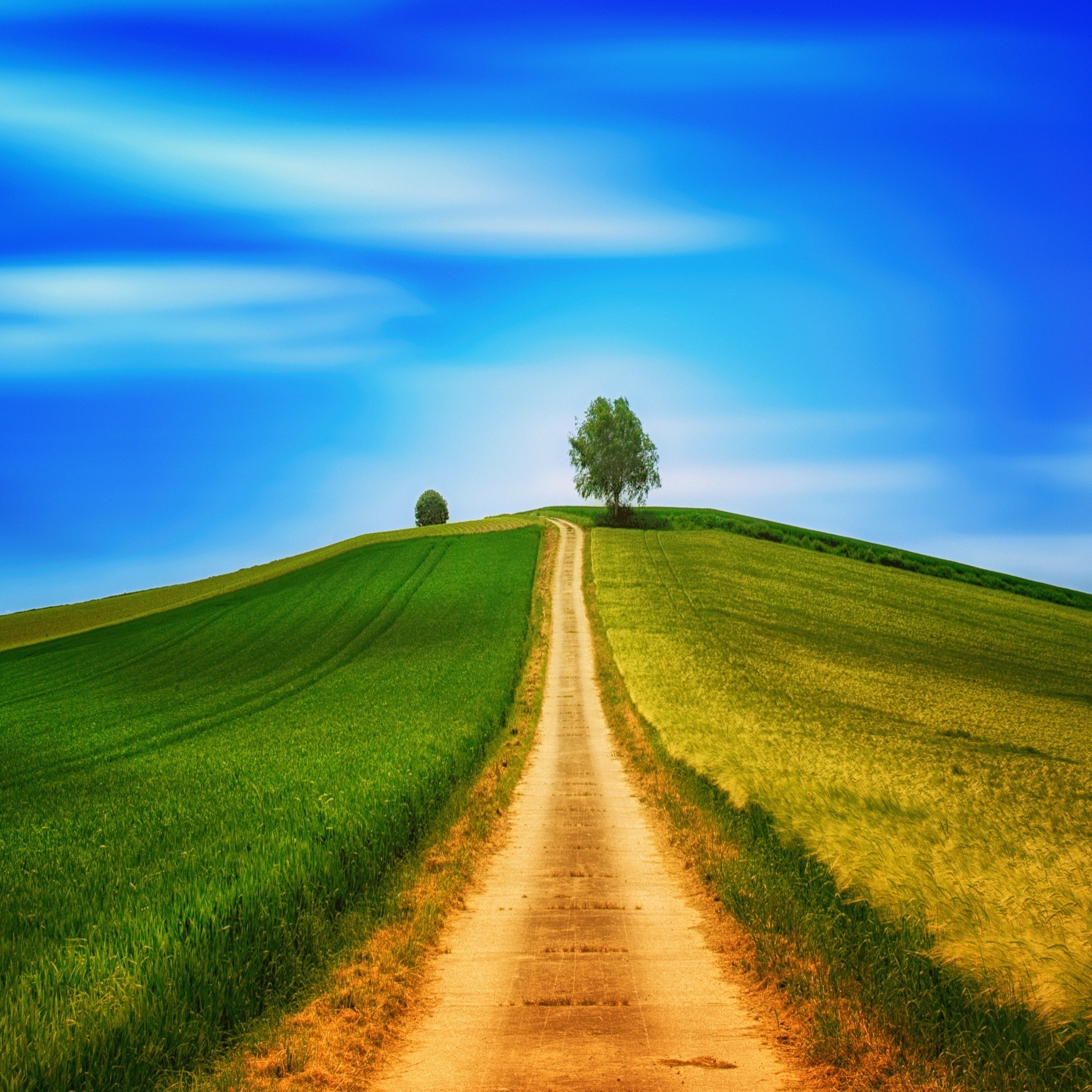 country_road_hill_wallpaper