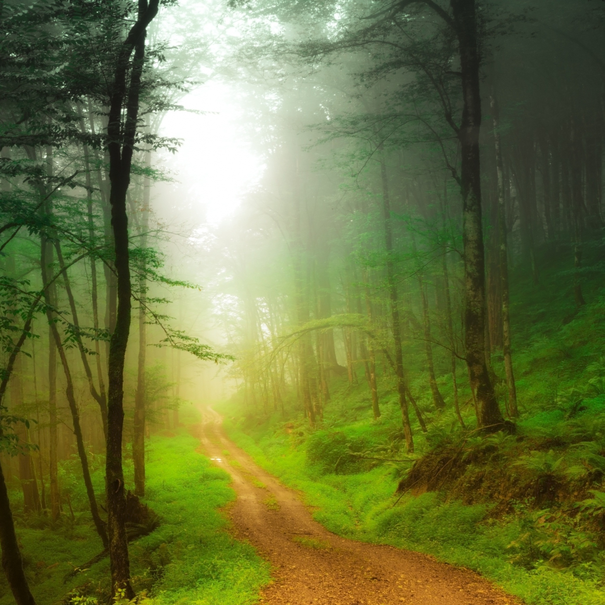 tila_kenar_wallpaper