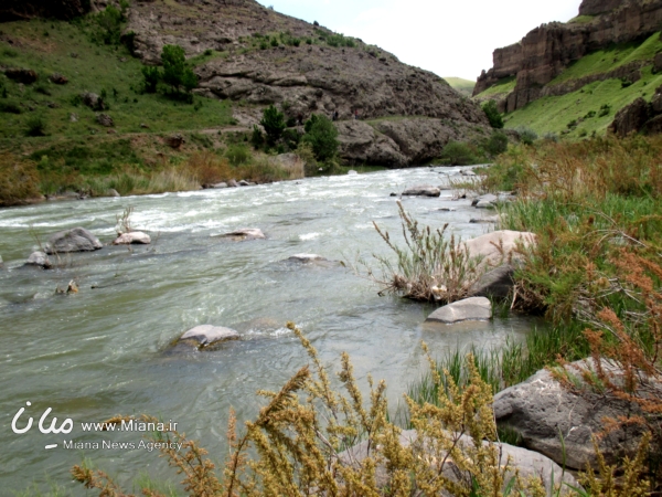 بزقوش میانه