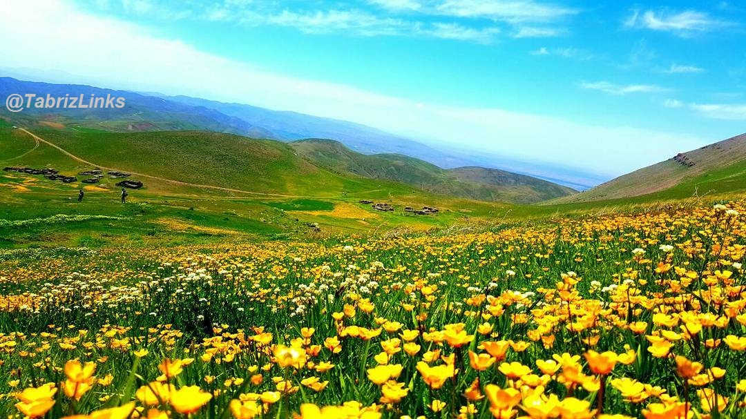 شهرستان سراب