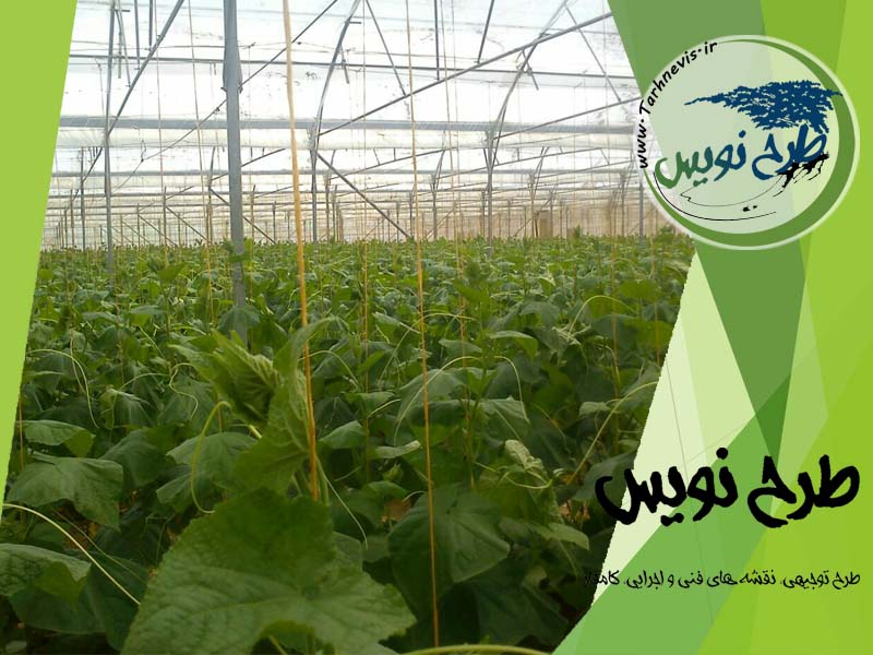 گلخانه خیار