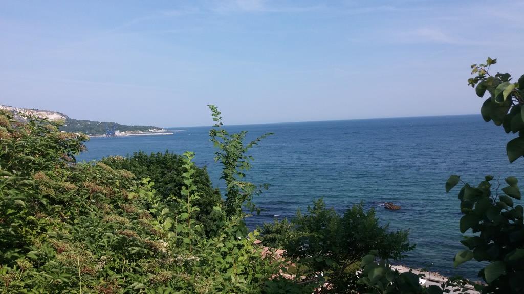 http://s8.picofile.com/file/8331271300/20180621_171353.jpg