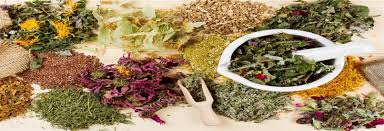  40 گیاه ضد ریزش مو  40 anti-hair loss herbs