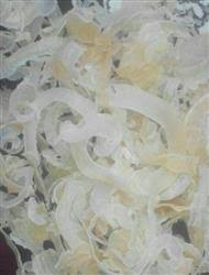  کتیراکتیرا برای موکتیرا به انگلیسیکتیرا برای چاقیکتیرا برای موهای فرکتیرا موکتیرای خوراکیکتیرا+خواصکتیرا برای چاقی صورت