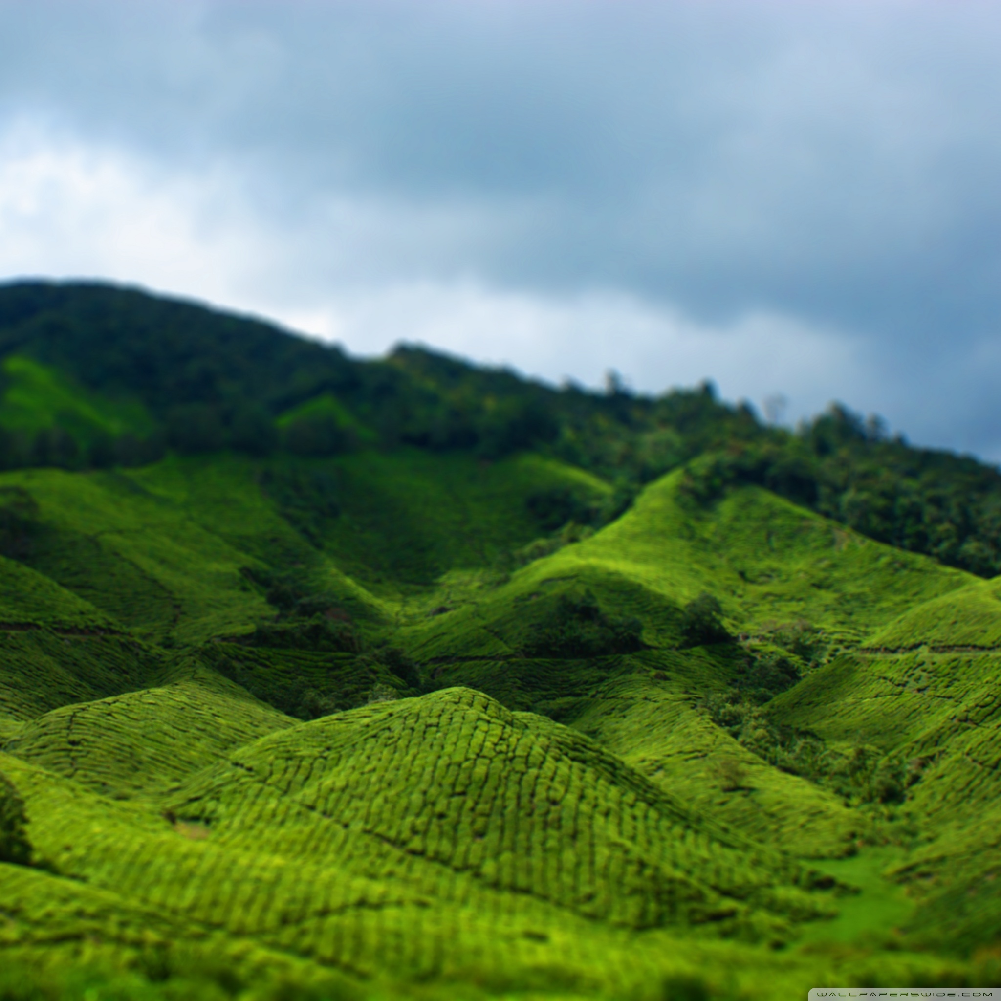 highlands_tilt_shift_photography_wallpaper