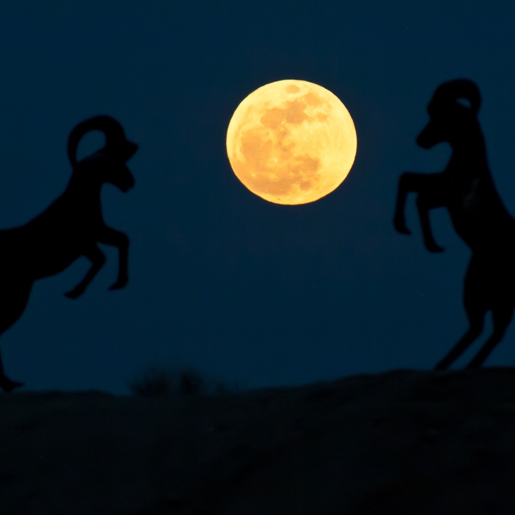 super_moon_night_wallpaper