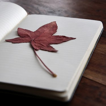 برگ زرد لاى دفتر